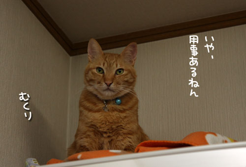 社長のお仕事_d0355333_12464446.jpg