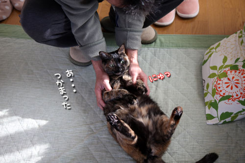 いつもの朝_d0355333_12470538.jpg