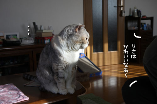 アピールアピール!_d0355333_12470868.jpg