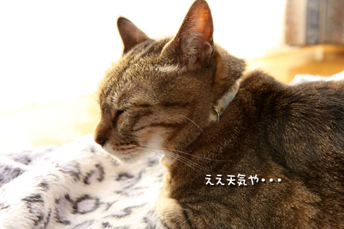 土曜日スペシャル。_d0355333_12471107.jpg