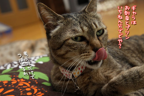 笑子たん、夢を語る。_d0355333_12471744.jpg