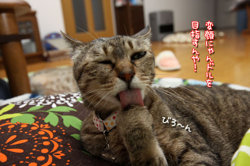 笑子たん、夢を語る。_d0355333_12471774.jpg