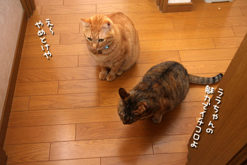 ララちゃんのチャレンジ_d0355333_12472068.jpg
