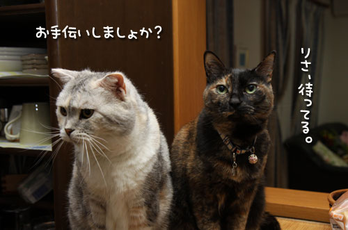 これが男の料理。_d0355333_12472296.jpg