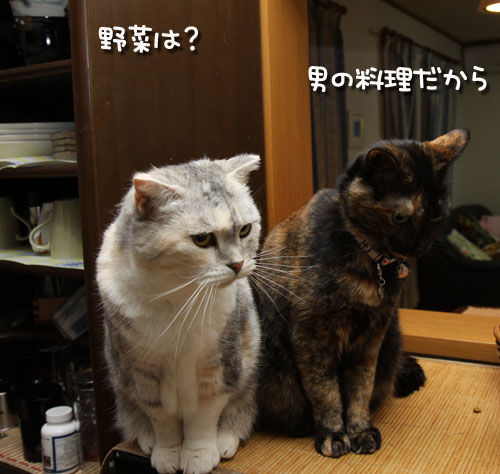これが男の料理。_d0355333_12472350.jpg