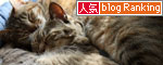 ほっと、ひといき抜いて。_d0355333_12472502.jpg
