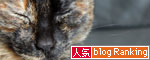 アナタならどうする?_d0355333_12472504.jpg