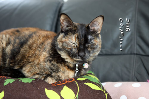 アナタならどうする?_d0355333_12472512.jpg