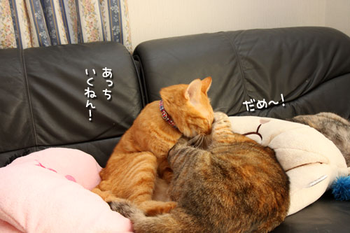 離さない。_d0355333_12473044.jpg