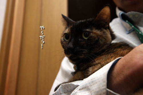 じゅんばーん!_d0355333_12473433.jpg