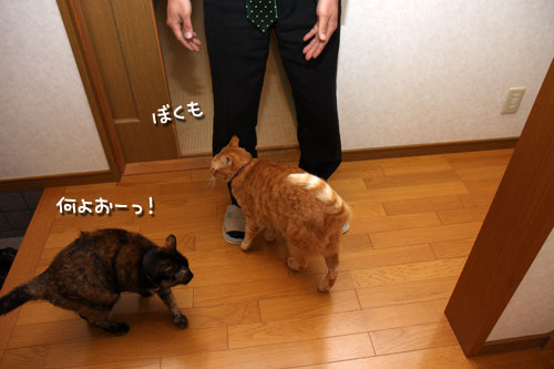 じゅんばーん!_d0355333_12473512.jpg