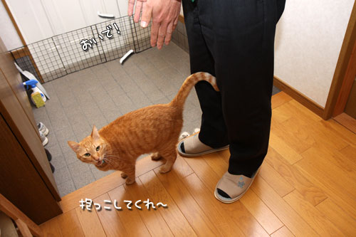 じゅんばーん!_d0355333_12473584.jpg
