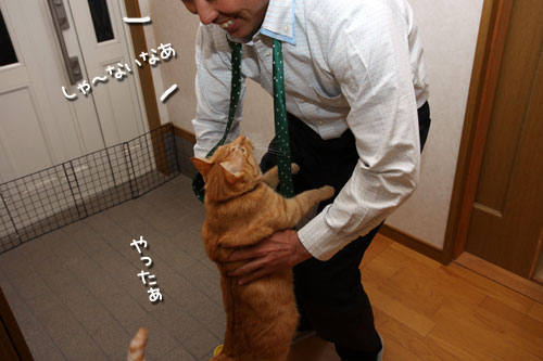 じゅんばーん!_d0355333_12473669.jpg