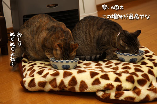 出番なし。_d0355333_12474641.jpg