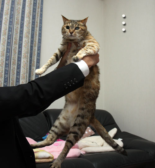 癒しのララちゃん_d0355333_12474798.jpg