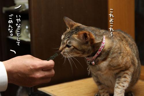 背後から影。_d0355333_12475215.jpg