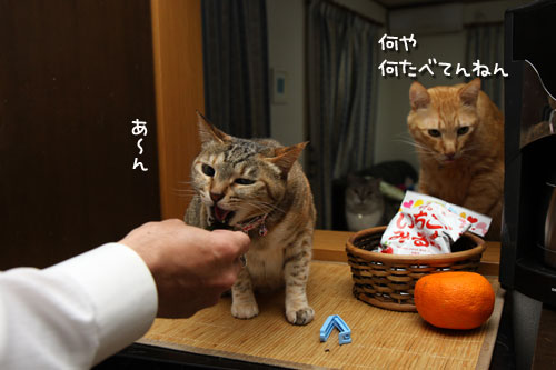 背後から影。_d0355333_12475330.jpg