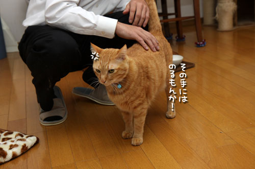 思い通りにならない_d0355333_12480350.jpg