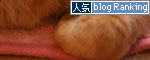 いい場所たくさん!_d0355333_12480711.jpg