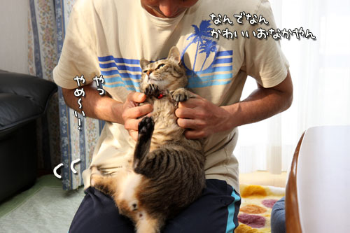 泳ぐ視線_d0355333_12480911.jpg
