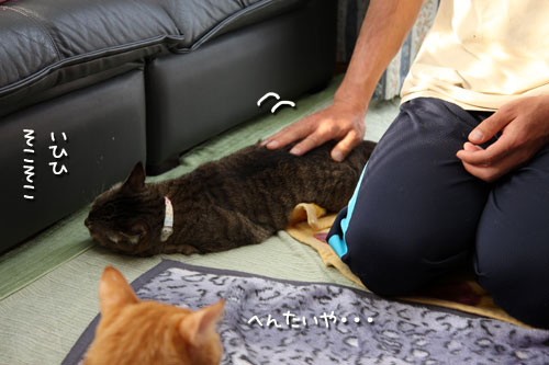 泳ぐ視線_d0355333_12481002.jpg
