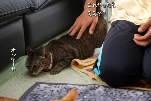 泳ぐ視線_d0355333_12481074.jpg