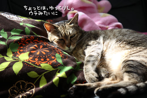 ひとくぎり。_d0355333_12481301.jpg