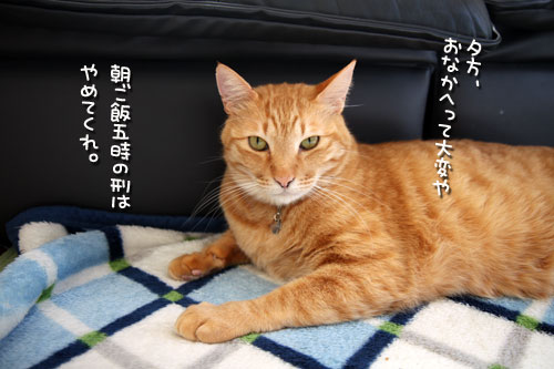 ひとくぎり。_d0355333_12481334.jpg