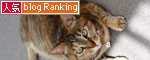 猫にとっての快適って?_d0355333_12482176.jpg