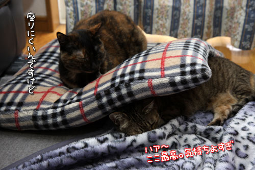 笑いの免疫力。_d0355333_12482332.jpg