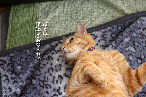 誰が平和主義者?!_d0355333_12482566.jpg