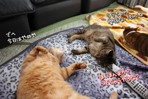 誰が平和主義者?!_d0355333_12482587.jpg