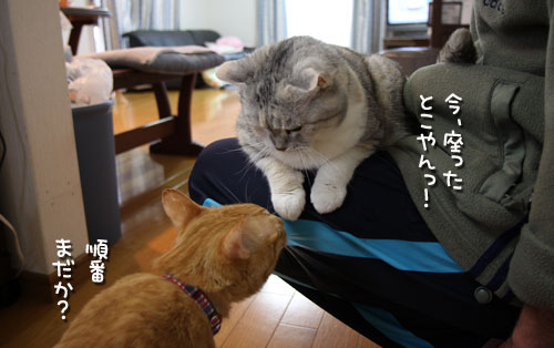 ちっちゃくアピール!_d0355333_12482605.jpg