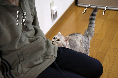 ちっちゃくアピール!_d0355333_12482695.jpg