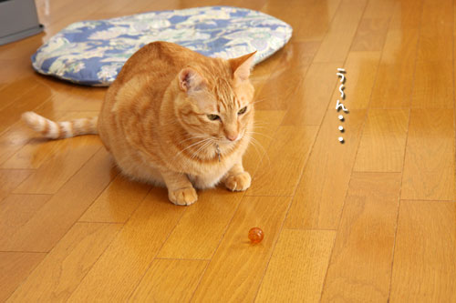 悩みすぎて。_d0355333_12482752.jpg