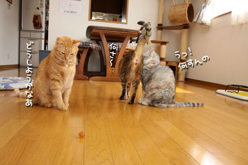 悩みすぎて。_d0355333_12482844.jpg
