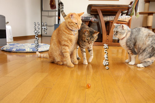 悩みすぎて。_d0355333_12482879.jpg