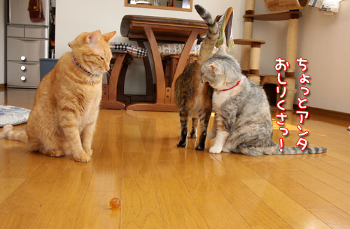 悩みすぎて。_d0355333_12482891.jpg