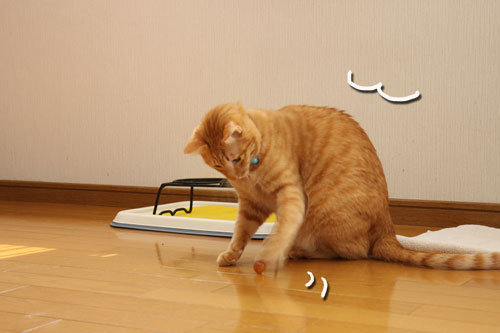 男はびしっと!★追記あり_d0355333_12482966.jpg