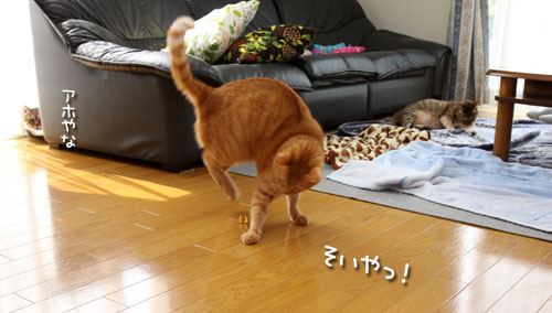 男はびしっと!★追記あり_d0355333_12483033.jpg