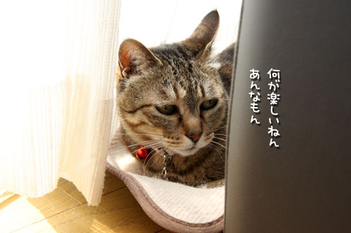 男はびしっと!★追記あり_d0355333_12483045.jpg