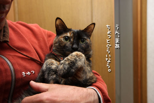 きゅっと。_d0355333_12483120.jpg