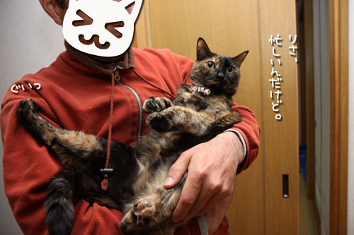 きゅっと。_d0355333_12483130.jpg