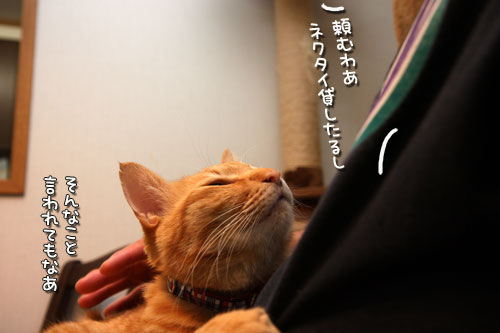 おやじ同士の会話。_d0355333_12483529.jpg