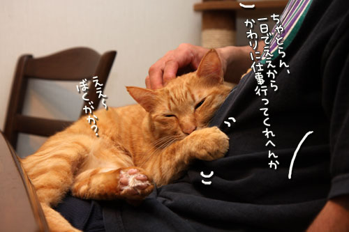 おやじ同士の会話。_d0355333_12483547.jpg