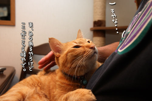 おやじ同士の会話。_d0355333_12483593.jpg