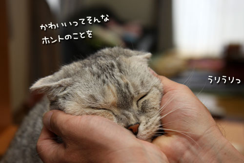 むにゅううう_d0355333_12484101.jpg
