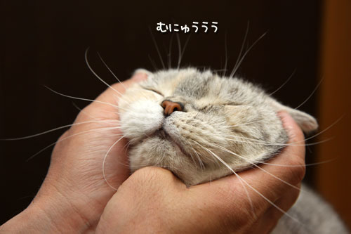 むにゅううう_d0355333_12484159.jpg