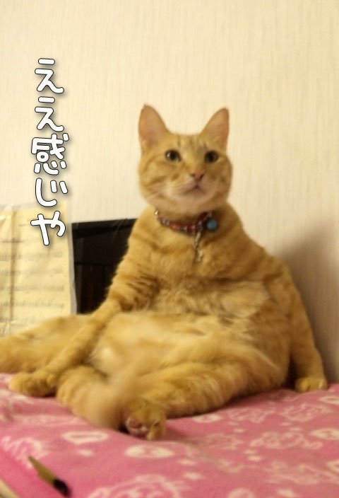 新携帯のカメラで。_d0355333_12484306.jpg