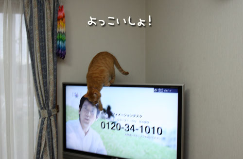 いづこへ?_d0355333_12484422.jpg